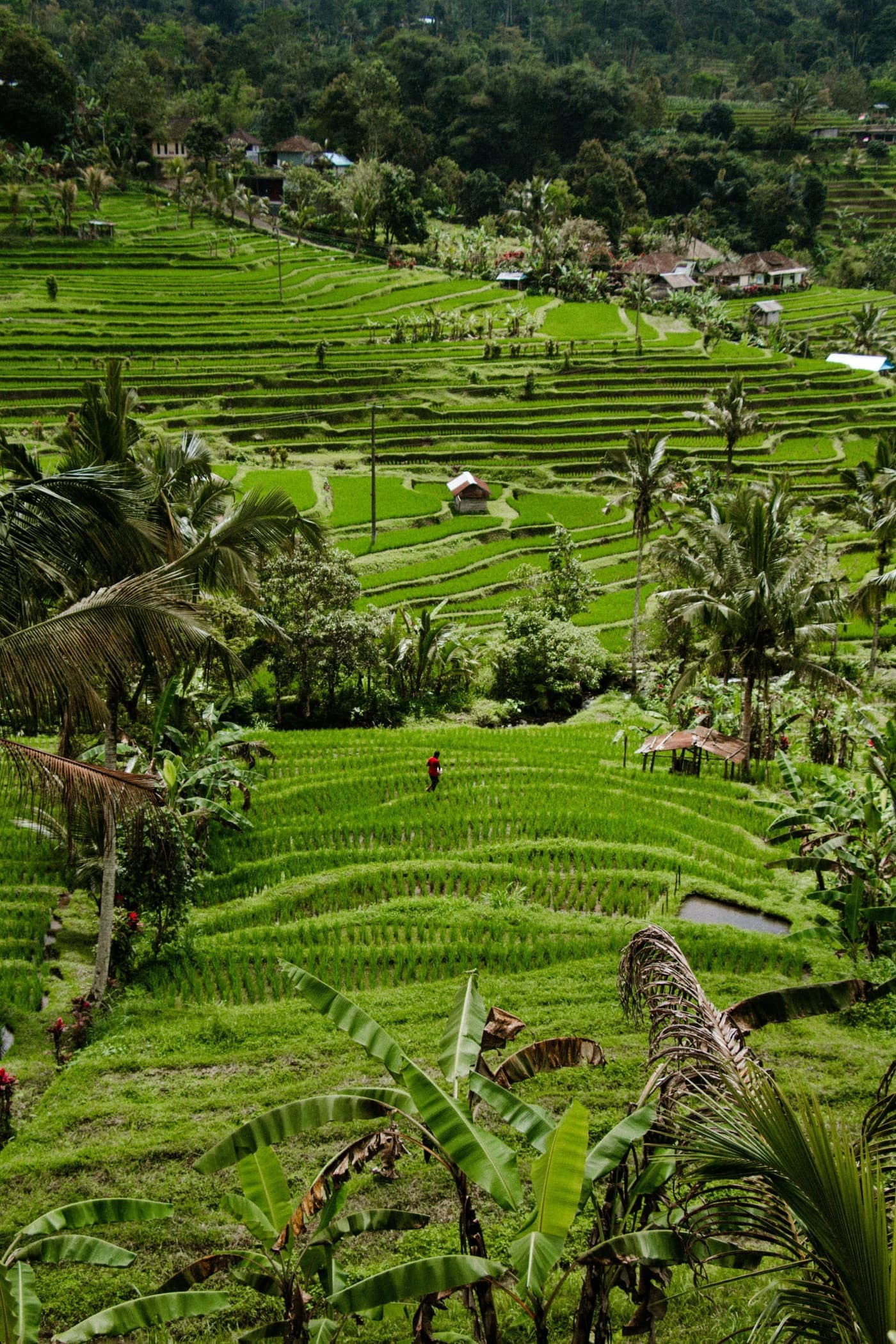 Tabanan — 5
